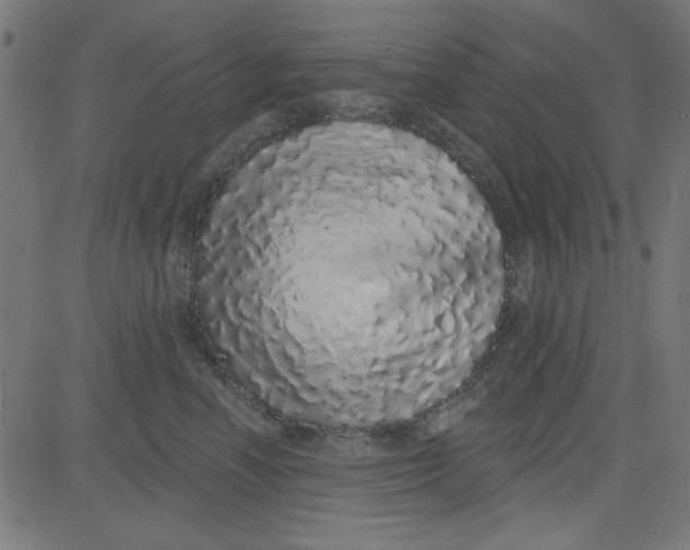 X0000081340666200702020051