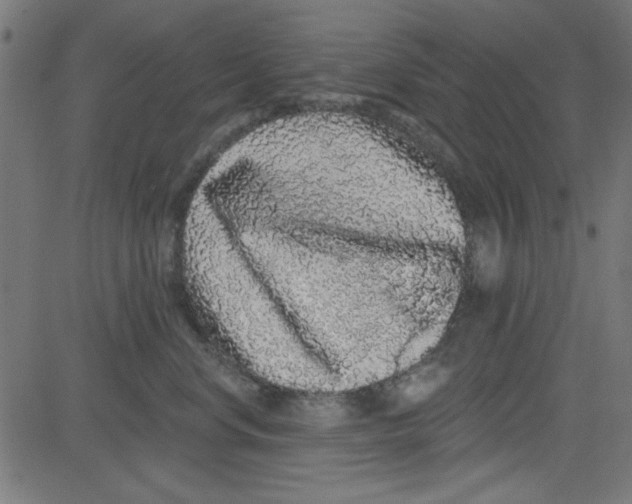 X0000081340668200702020051