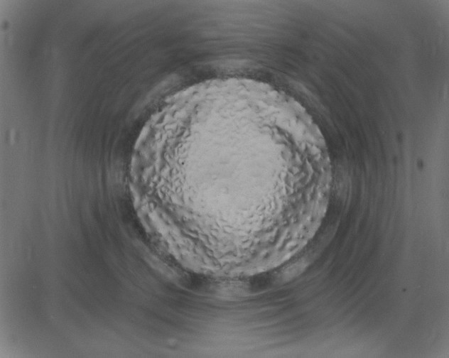 X0000081340670200702020051