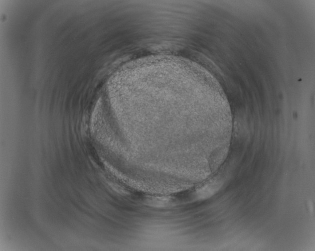 X0000081340671200702020051