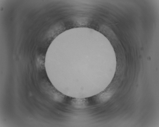 X0000081340672200702020051