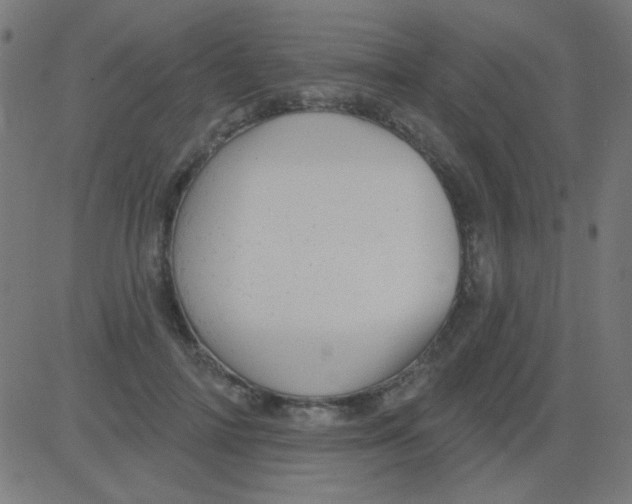 X0000081340698200702020050