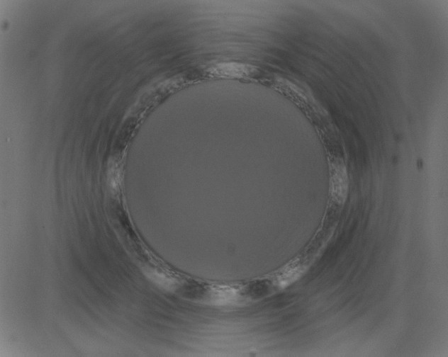 X0000081340701200702020049