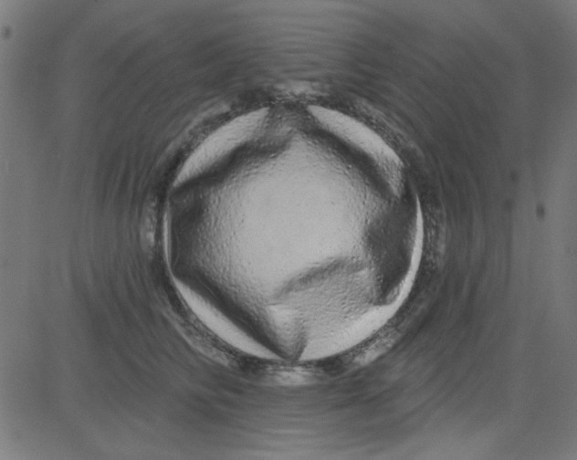 X0000081340710200702020049
