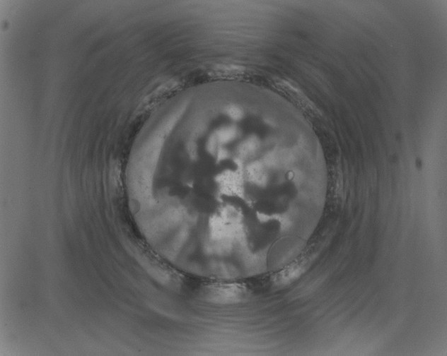 X0000081340711200702020049