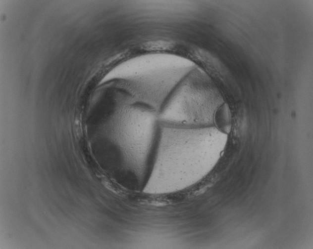 X0000081340743200702020049