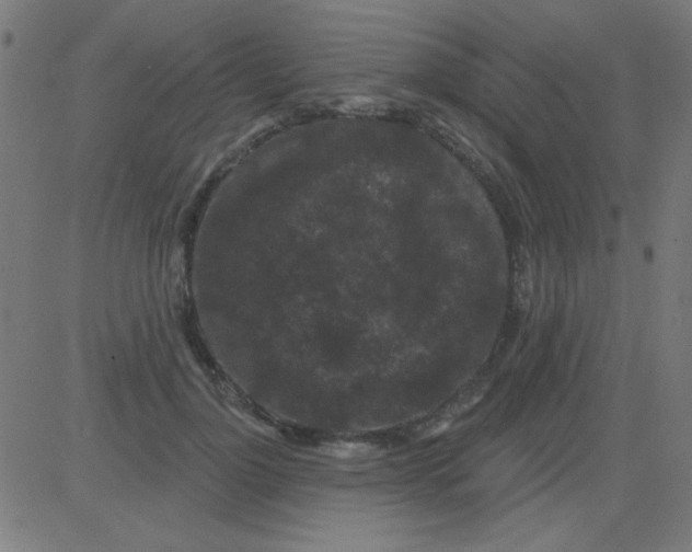 X0000081340748200702020049