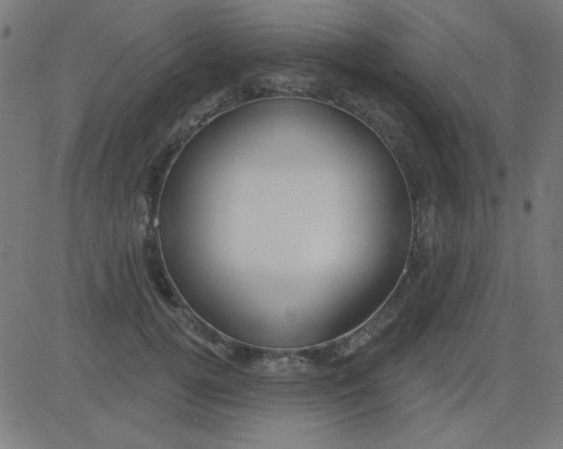 X0000081340752200702020049