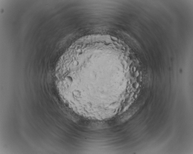 X0000081340757200702020049