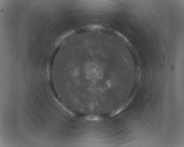 X0000081340762200702020049