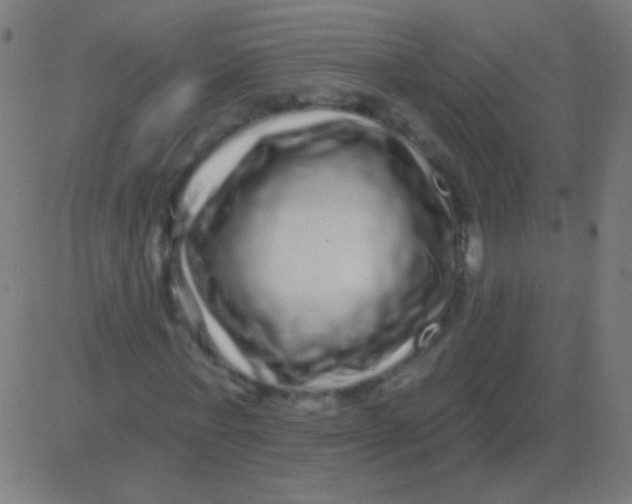 X0000081340771200702020048