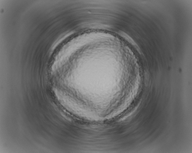 X0000081340782200702020048
