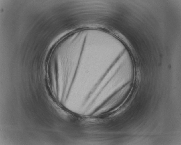 X0000081340787200702020048