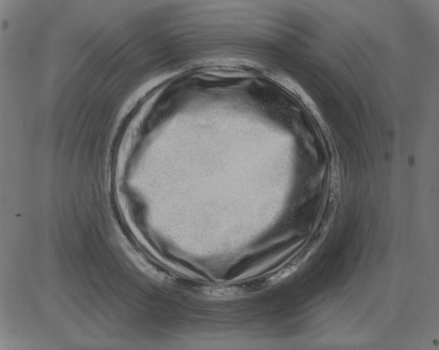 X0000081340795200702020048