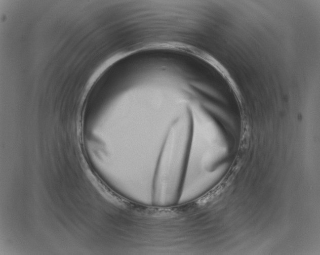 X0000081340811200702020048