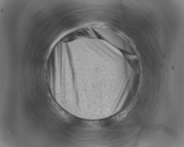 X0000081340816200702020048