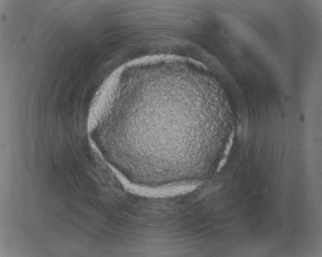 X0000081340819200702020047