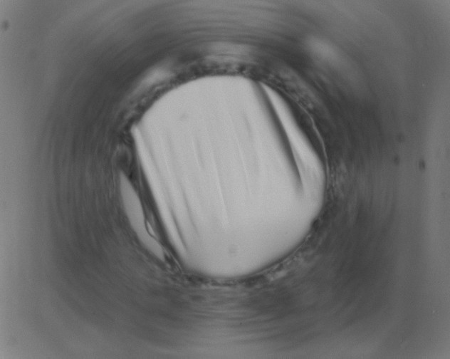 X0000081340821200702020047