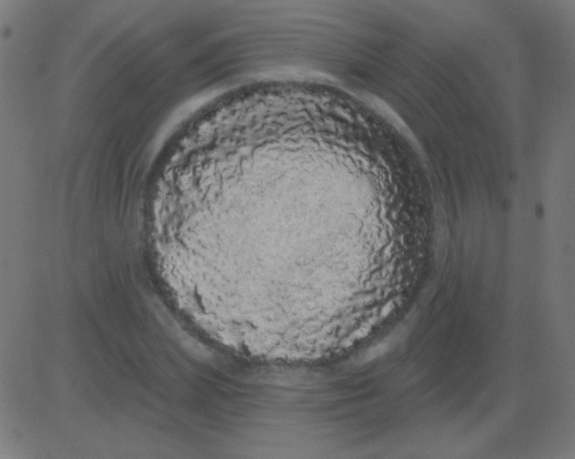 X0000081340831200702020047