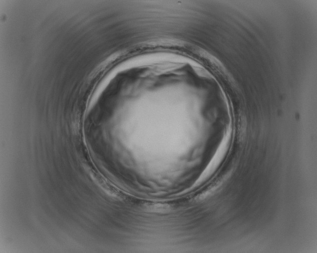 X0000081340833200702020047