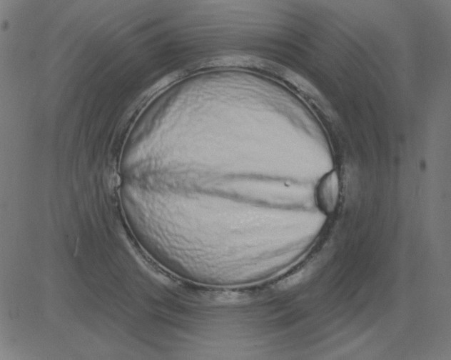 X0000081340841200702020047