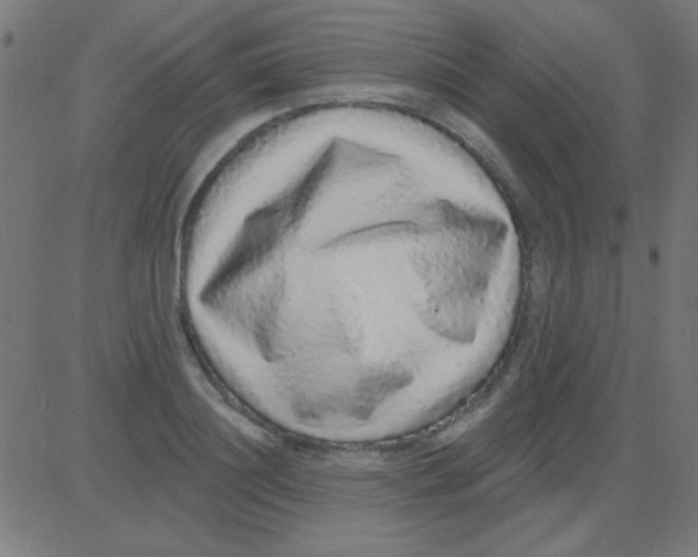 X0000081340844200702020047