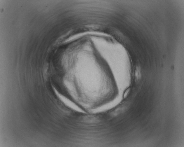 X0000081340867200702020047