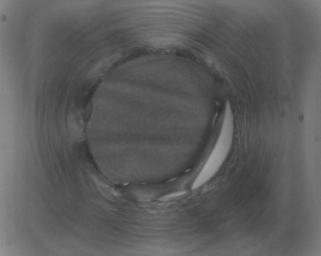 X0000081340868200702020047