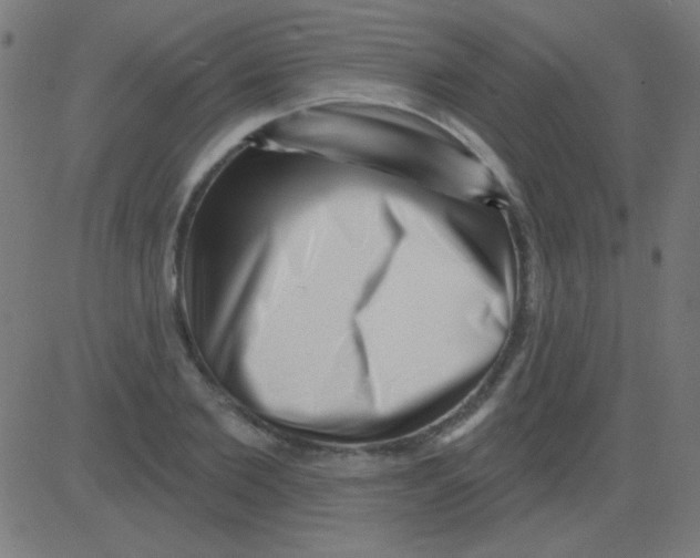 X0000081340885200702020046