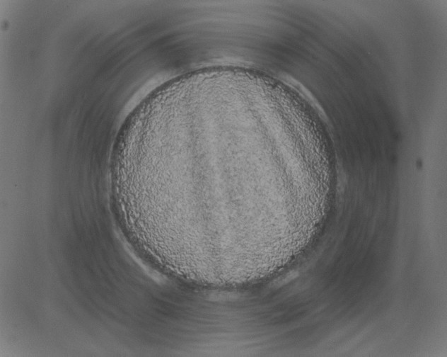 X0000081340890200702020046