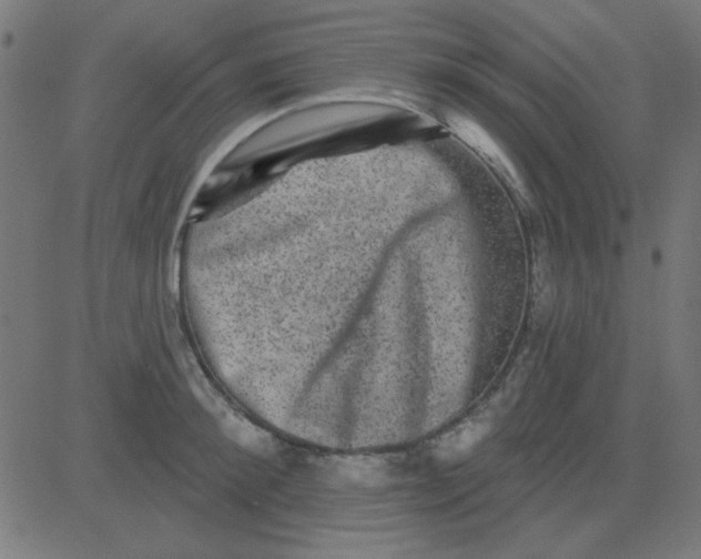 X0000081340900200702020046