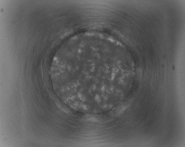 X0000081340913200702020045