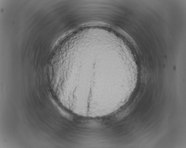 X0000081340937200702020046