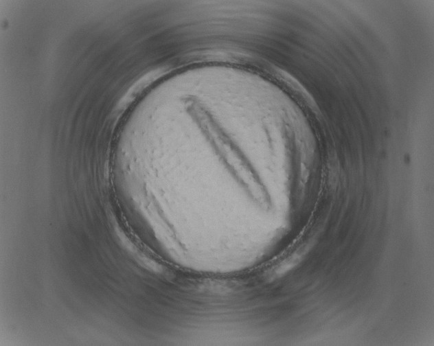 X0000081340938200702020046
