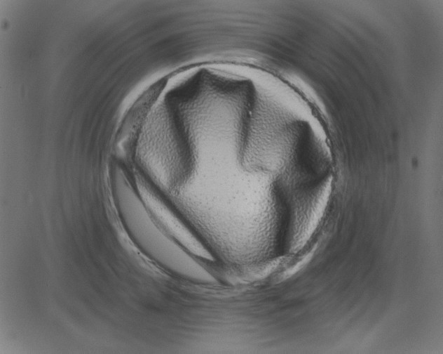 X0000081340952200702020046