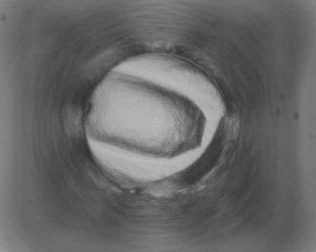 X0000081340963200702020045