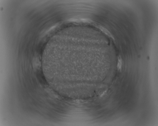 X0000081340966200702020045