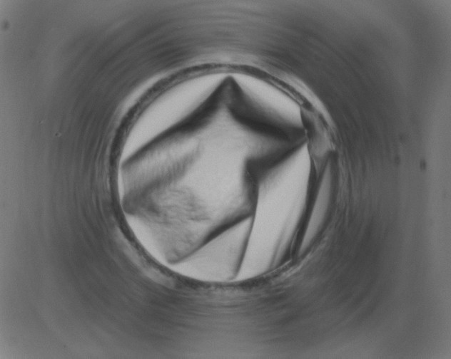 X0000081340972200702020045