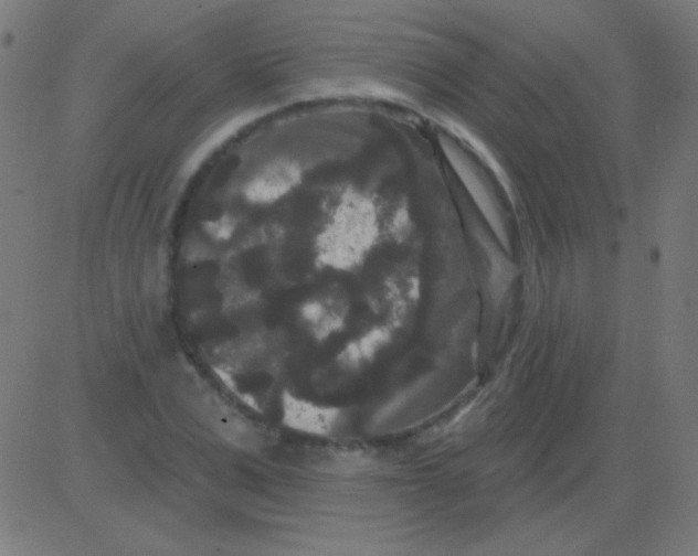 X0000081340975200702020045