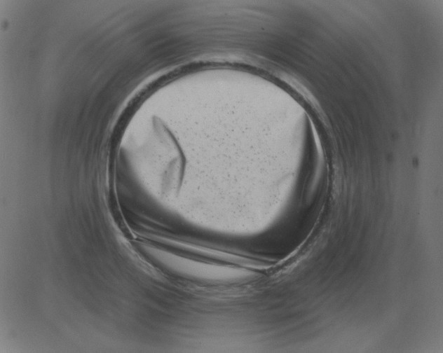 X0000081340984200702020045