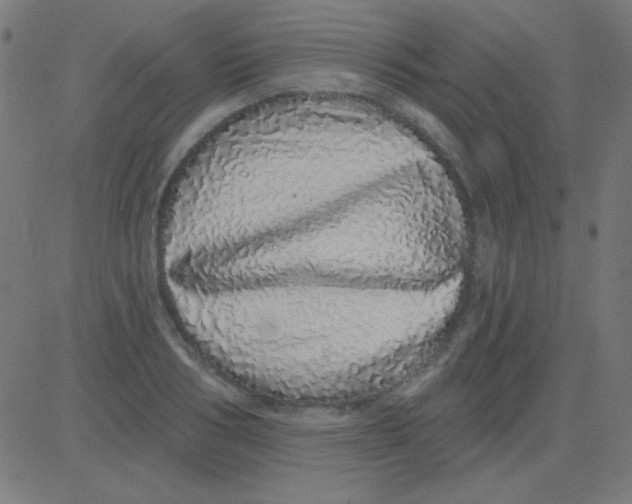 X0000081340986200702020045