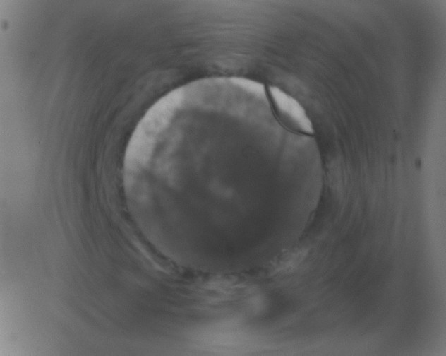 X0000081341009200702020044