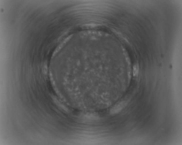 X0000081341011200702020044