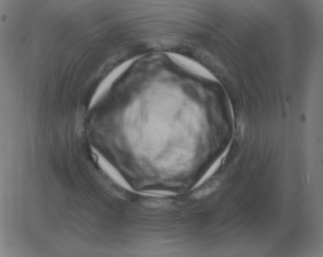 X0000081341012200702020044