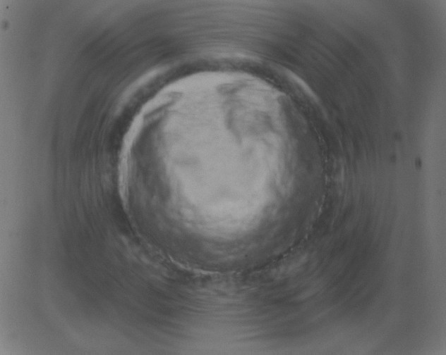 X0000081341016200702020044
