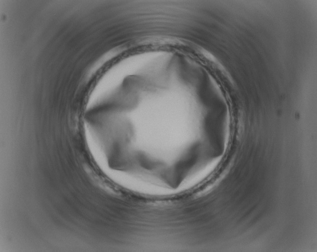 X0000081341017200702020044