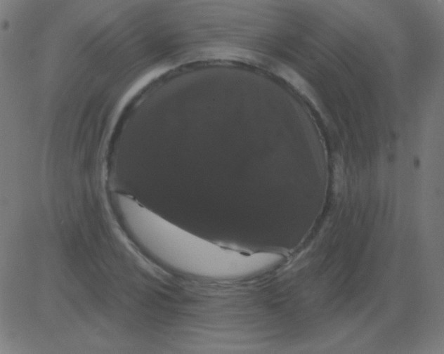 X0000081341024200702020044