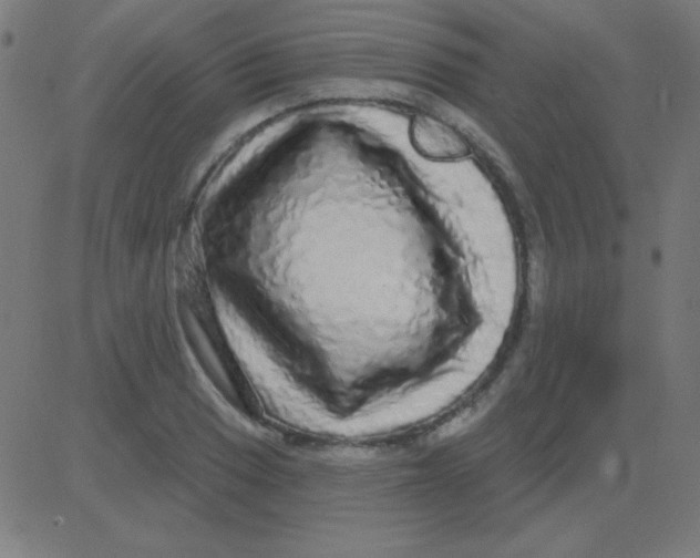 X0000081341033200702020044