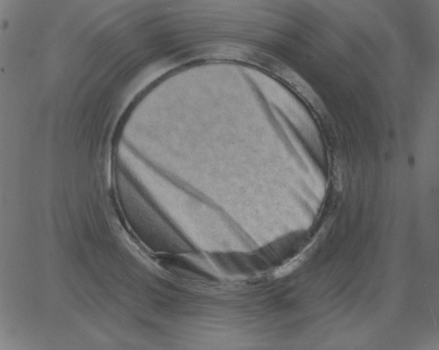 X0000081341036200702020044