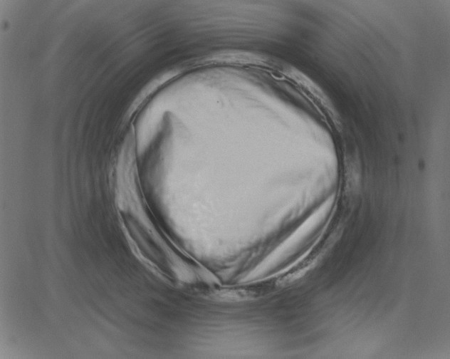 X0000081341049200702020044